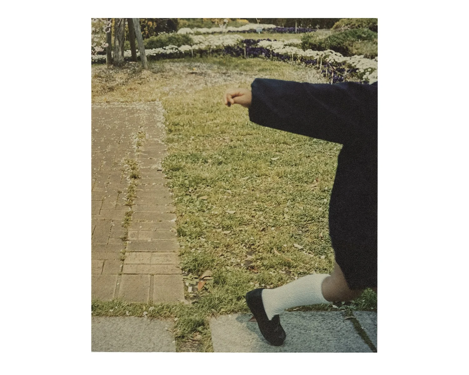 洋書 Saorin 洋書 Saorin 洋書】 KAWASAKI Ninja ZX-12R 【洋書】 - メルカリ